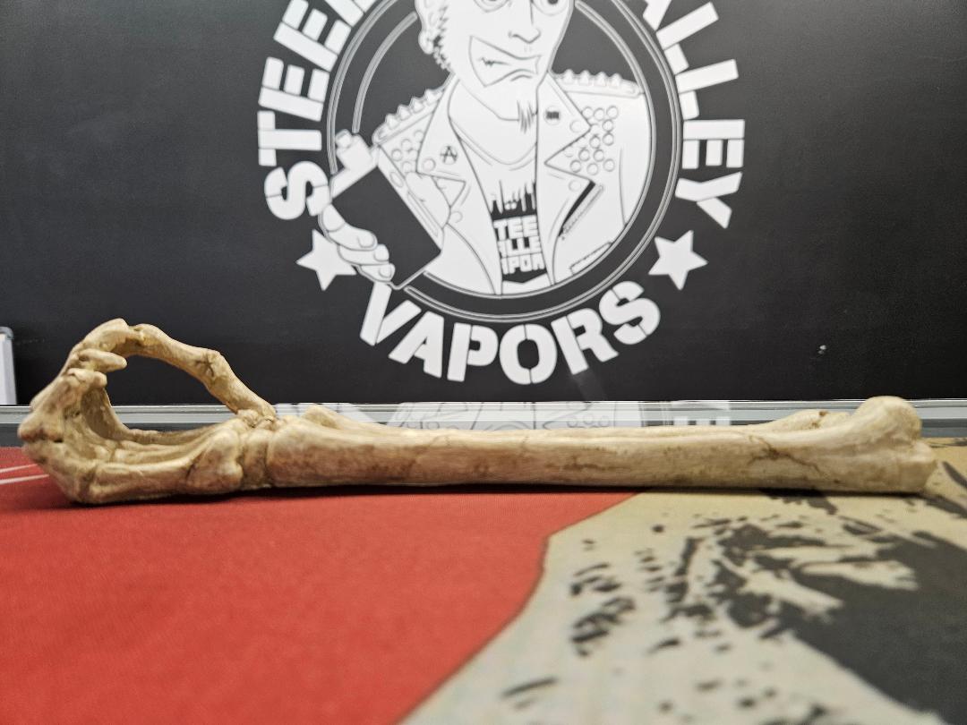 10" Skeleton Arm Incense Burner image 0