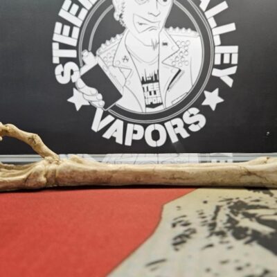10" Skeleton Arm Incense Burner